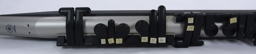 Used Yamaha WX5 Midi Controller, Yamaha VL70-m with Patchman Turbo Chip